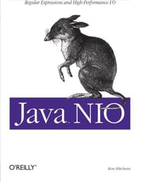Java Nio