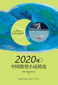 2020年中国微型小说精选