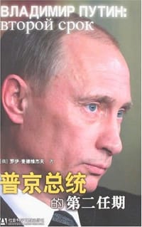 普京总统的第二任期