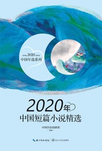 2020年中国短篇小说精选