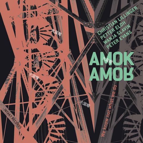 2017. Amok Amor - We Know Not What We Do [24-44.1] [FLAC]