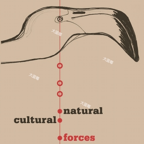 Warren Smith - Natural-Cultural Forces (2007) [FLAC] [FLAC]